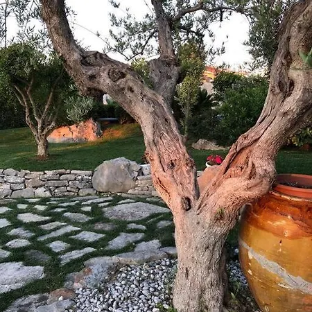 Poggio Fiorito 科拉托
